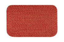 Carolina Cardinal