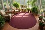 Sunroom EA