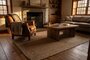 LivingRoom VCS