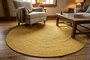 LivingRoom EA
