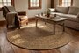 LivingRoom VCS