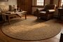 LivingRoom VCS